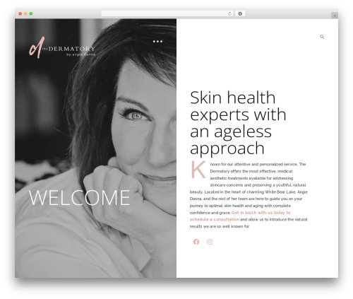 Aperitive. WordPress theme - thedermatory.com