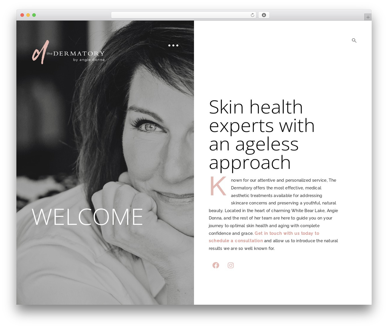 Aperitive. WordPress theme - thedermatory.com