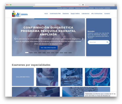Cedinta WordPress website theme - cedinta.cl