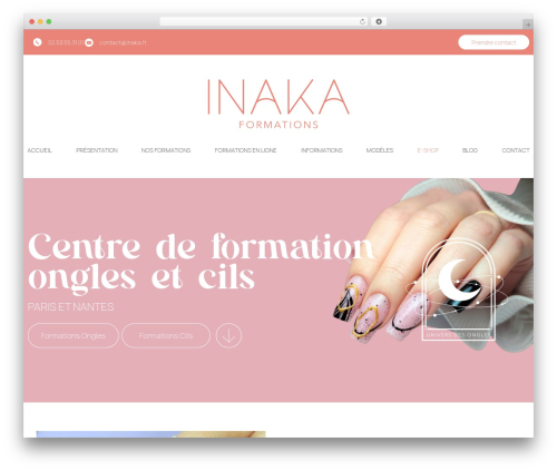 Conditional fields for elementor form pro WordPress plugin - inaka-formations.fr