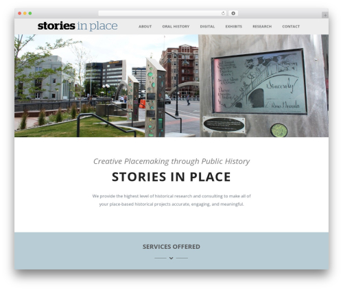 Optimizer PRO WordPress theme - storiesinplace.com