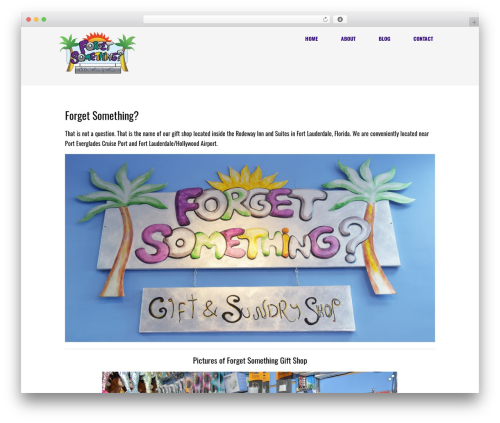 Optimizer PRO WordPress website theme - forgetsomethingshop.com