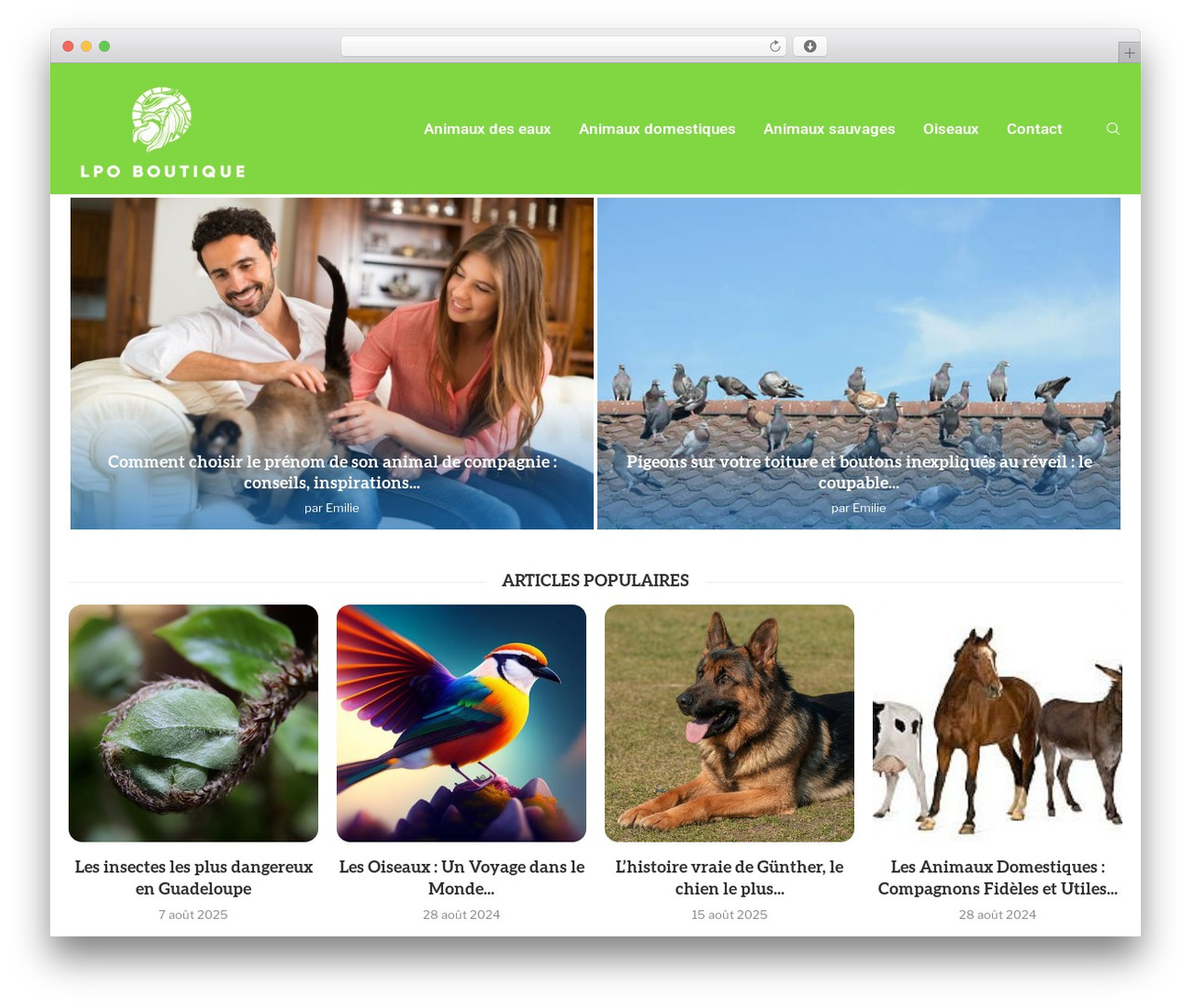 Theme WordPress soledad - lpo-boutique.com