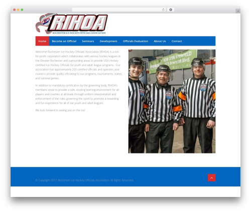 Web font social icons WordPress plugin - rihoa.com