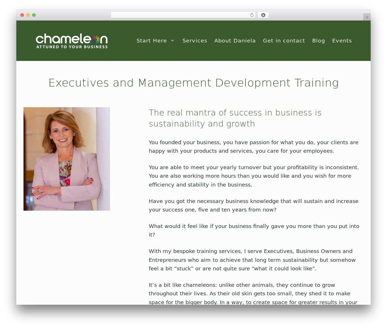 danielagrendene theme WordPress - danielagrendene.com