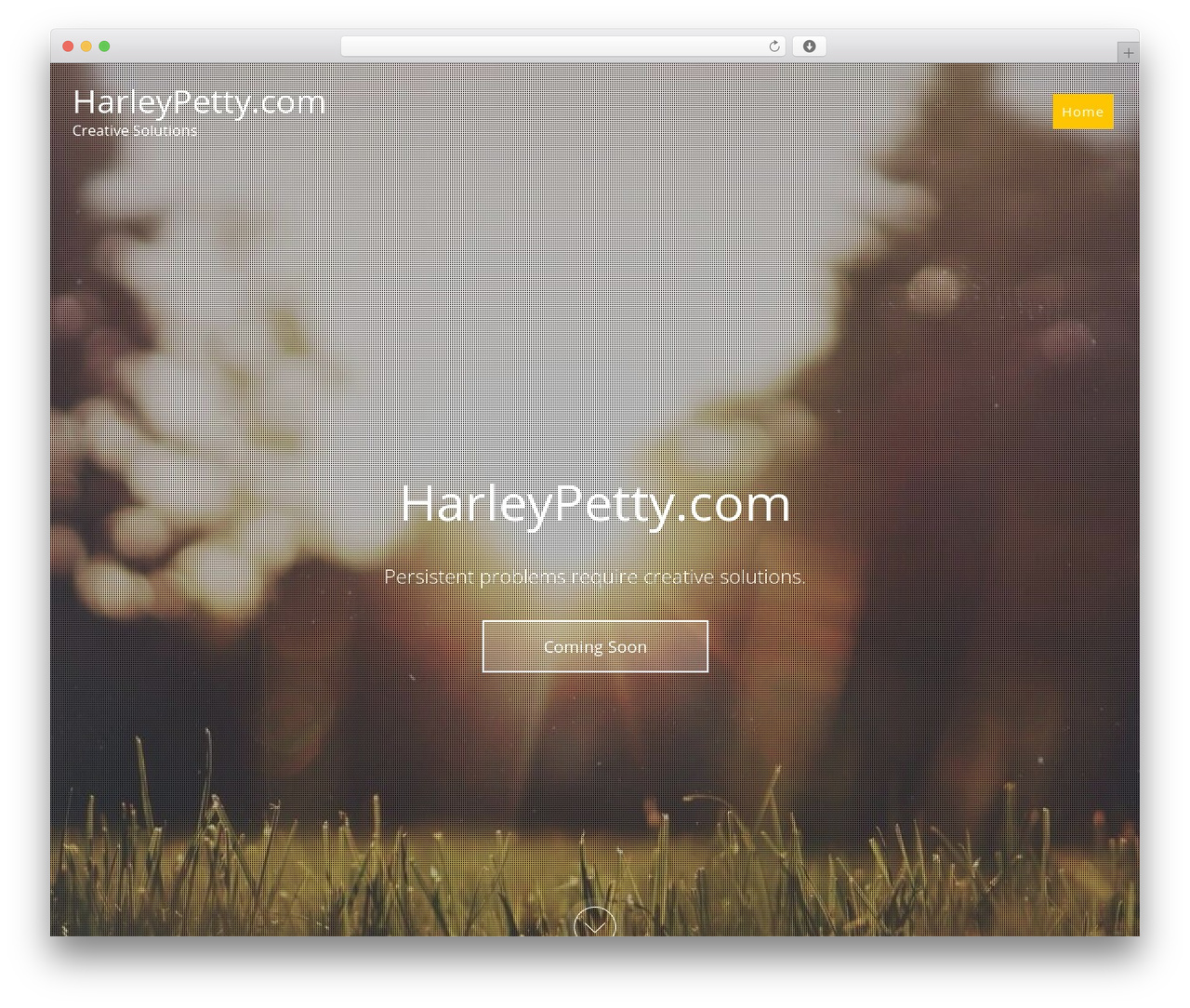 NovelPro Responsive Theme premium WordPress theme - harleypetty.com