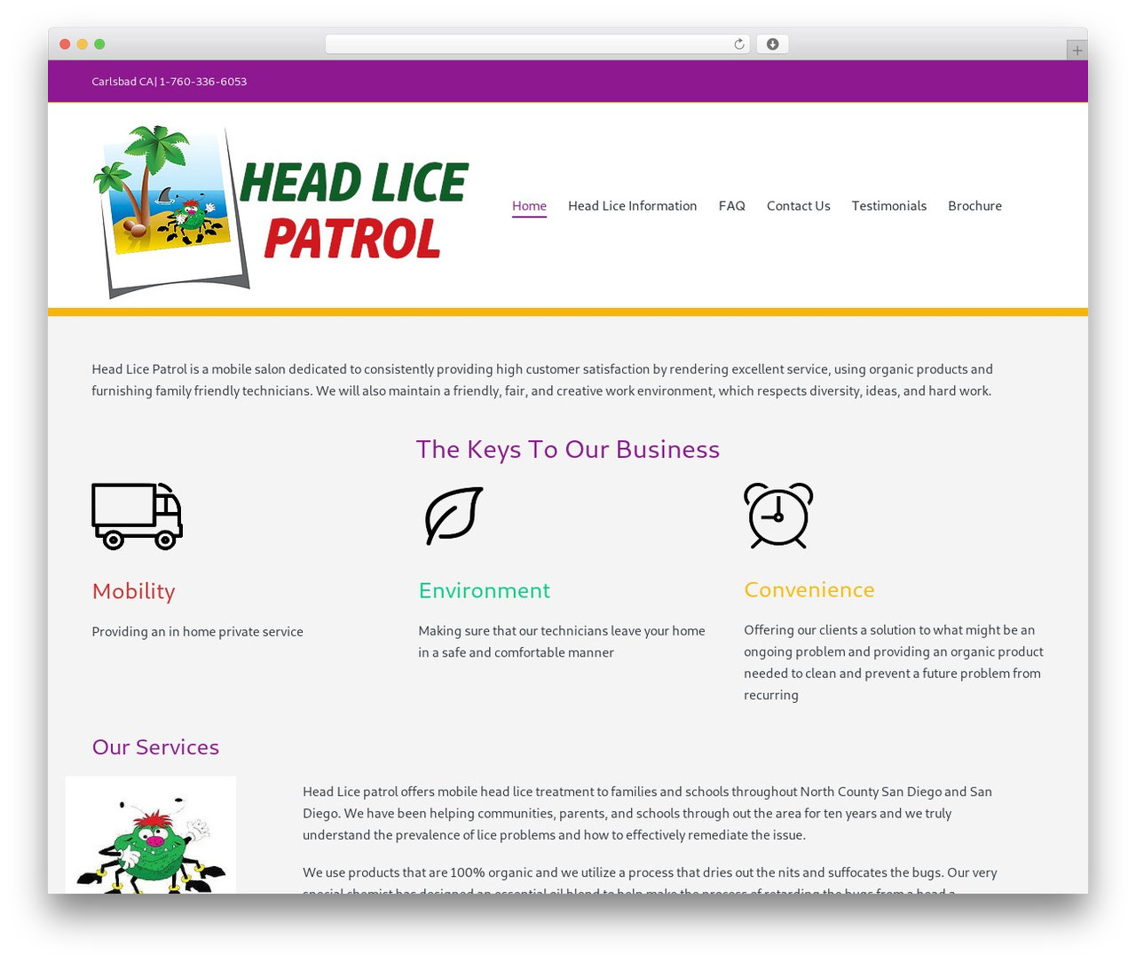 Sinatra WordPress theme - headlicepatrols.com