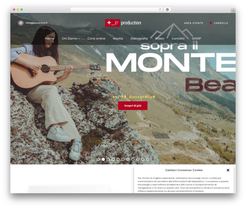 Vizeon themer WordPress plugin - piuvicino.it