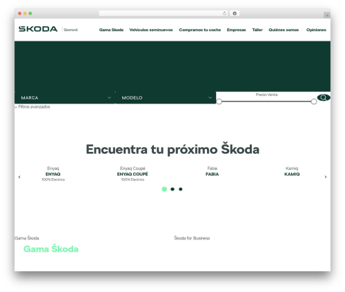 Base Theme WordPress theme - skomovil.es