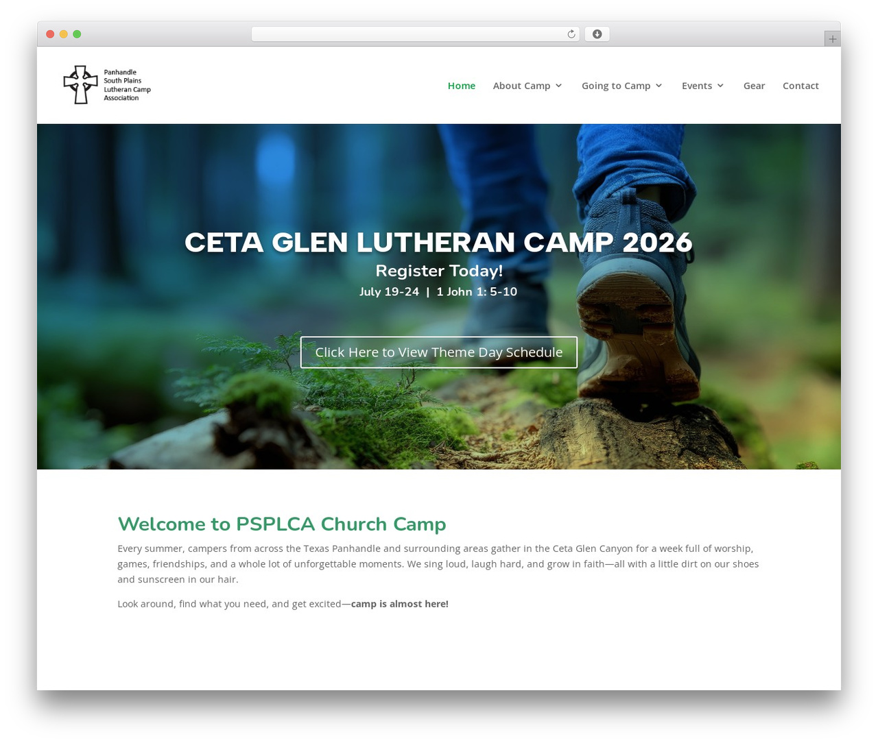 Divi theme WordPress - psplca.com