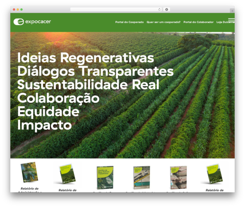 Bloglayoutselementor WordPress plugin - expocacer.com.br
