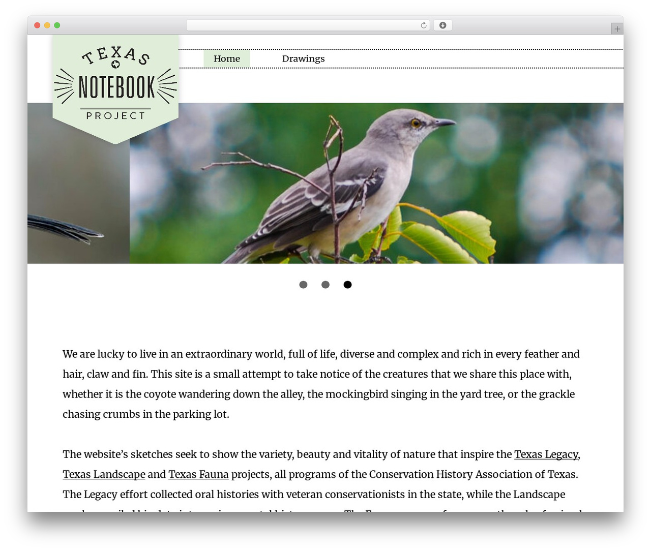Lively Theme WordPress theme - texasnotebook.org