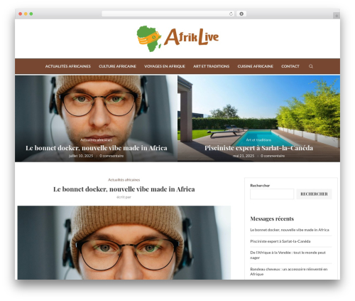 Toolinks posts WordPress plugin - afriklive.com
