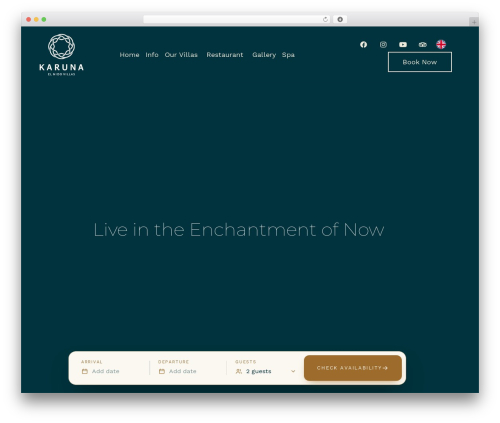 Bellevue WordPress theme - karunaelnido.com