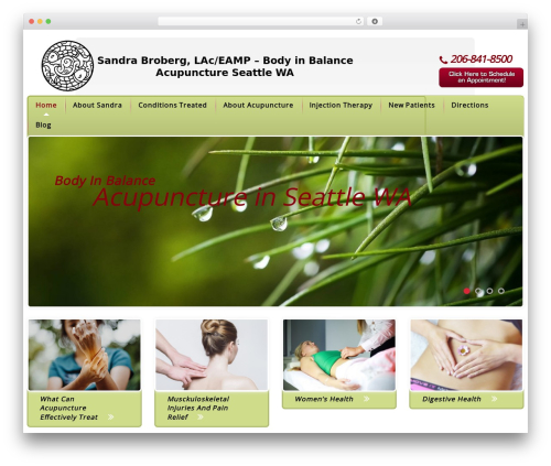 cherry WordPress theme design - myseattleacupuncture.com