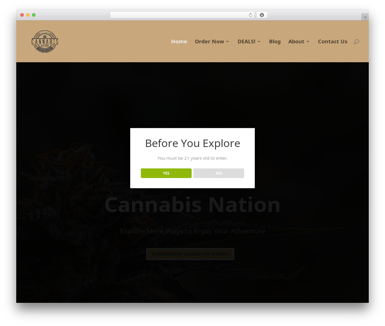 Divi WordPress theme - cannabisnationinc.com