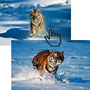 Image Switcher free WordPress plugin Image Switcher free WordPress plugin