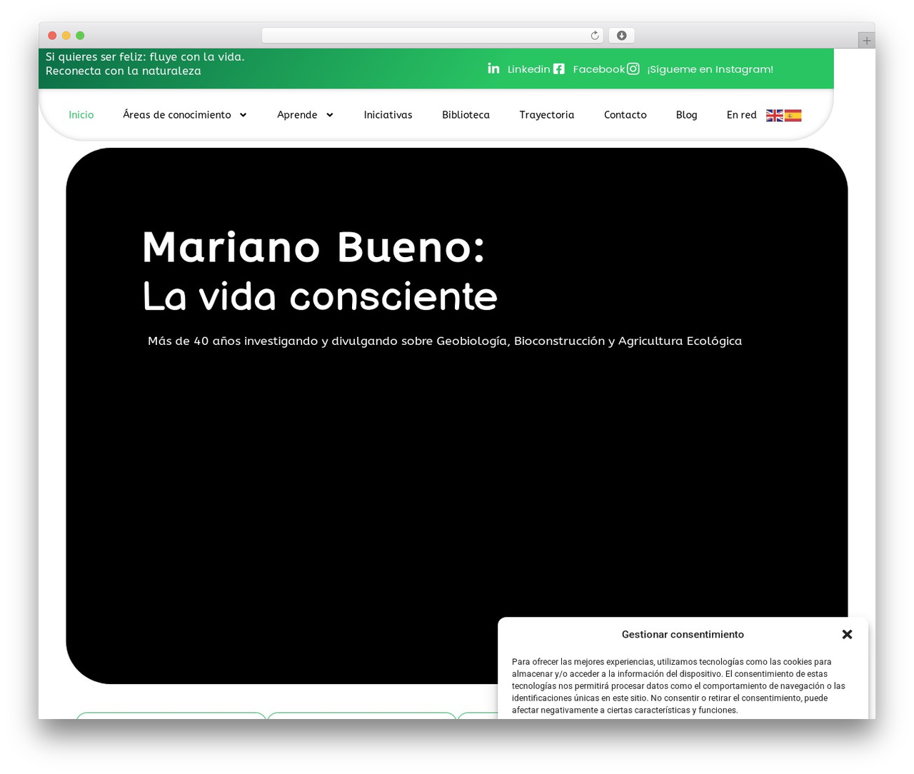 Hello Elementor premium WordPress theme - mariano-bueno.com