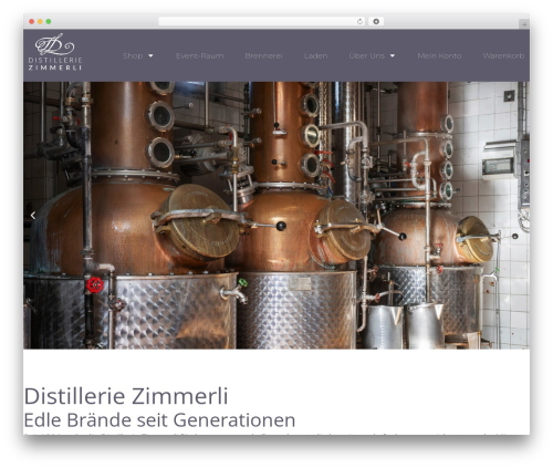 Be elements addon WordPress plugin - zimmerli-hallau.ch