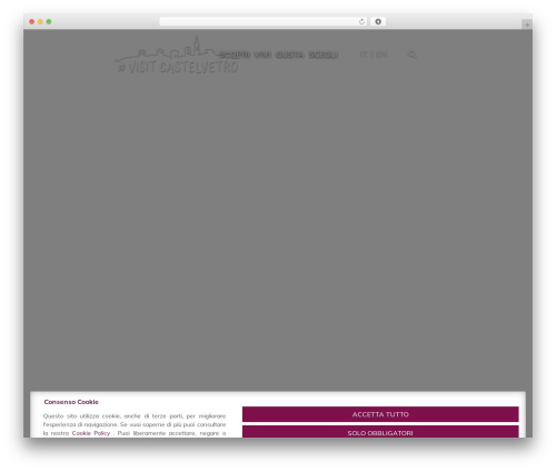 Aitec privacy cookie WordPress plugin - visitcastelvetro.it