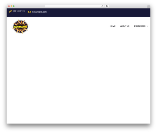 WordPress website theme Soltech - mgnpl.com