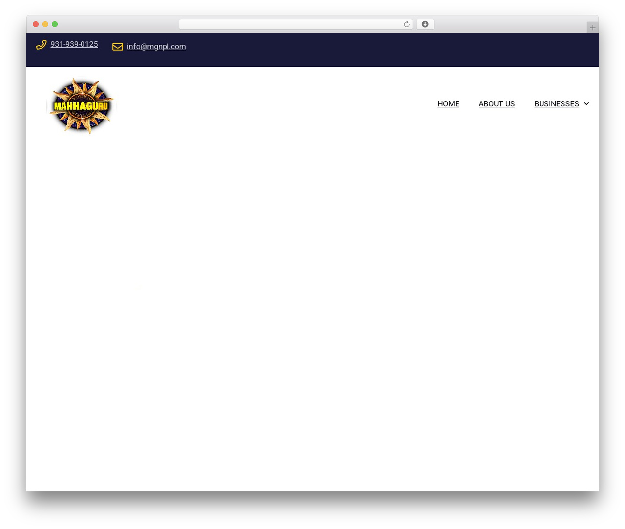 WordPress website theme Soltech - mgnpl.com