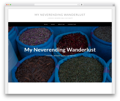 WP theme Genesis - myneverendingwanderlust.com