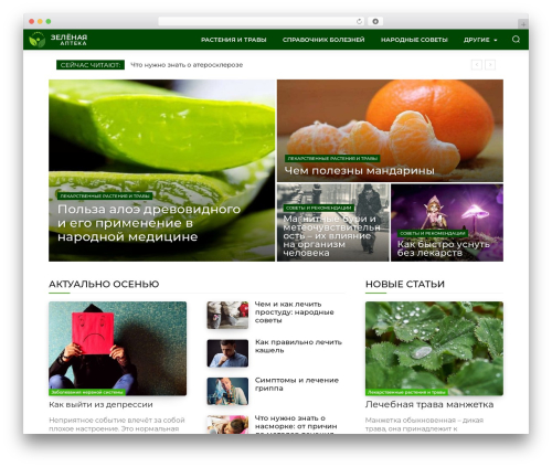 FAQ Block (faq-block) free WordPress plugin - greenapteka.ru