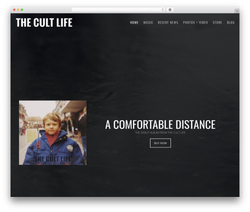 Pulse WordPress theme - thecultlifemusic.com