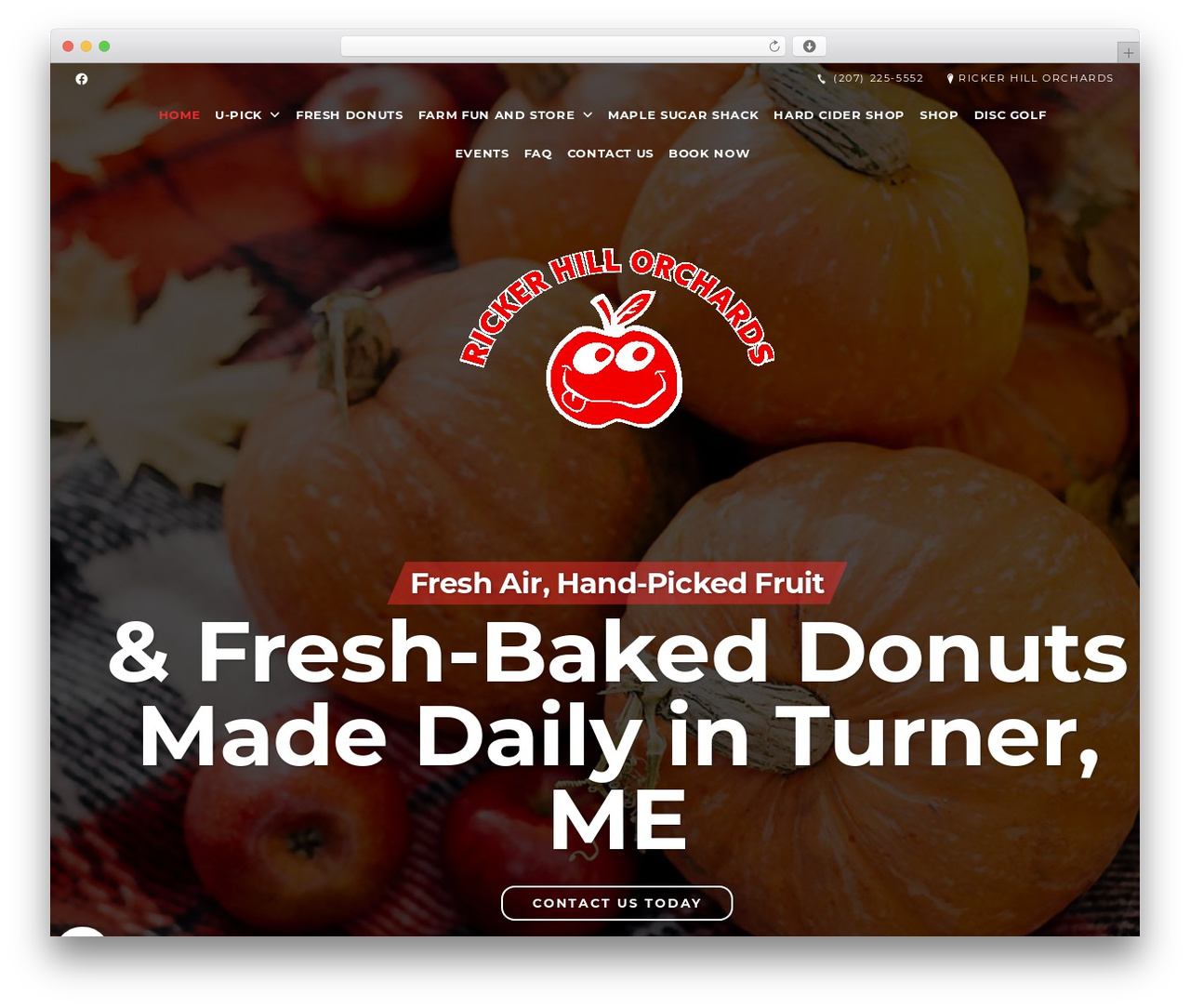 Theme WordPress Bike Shop - rickerhill.com
