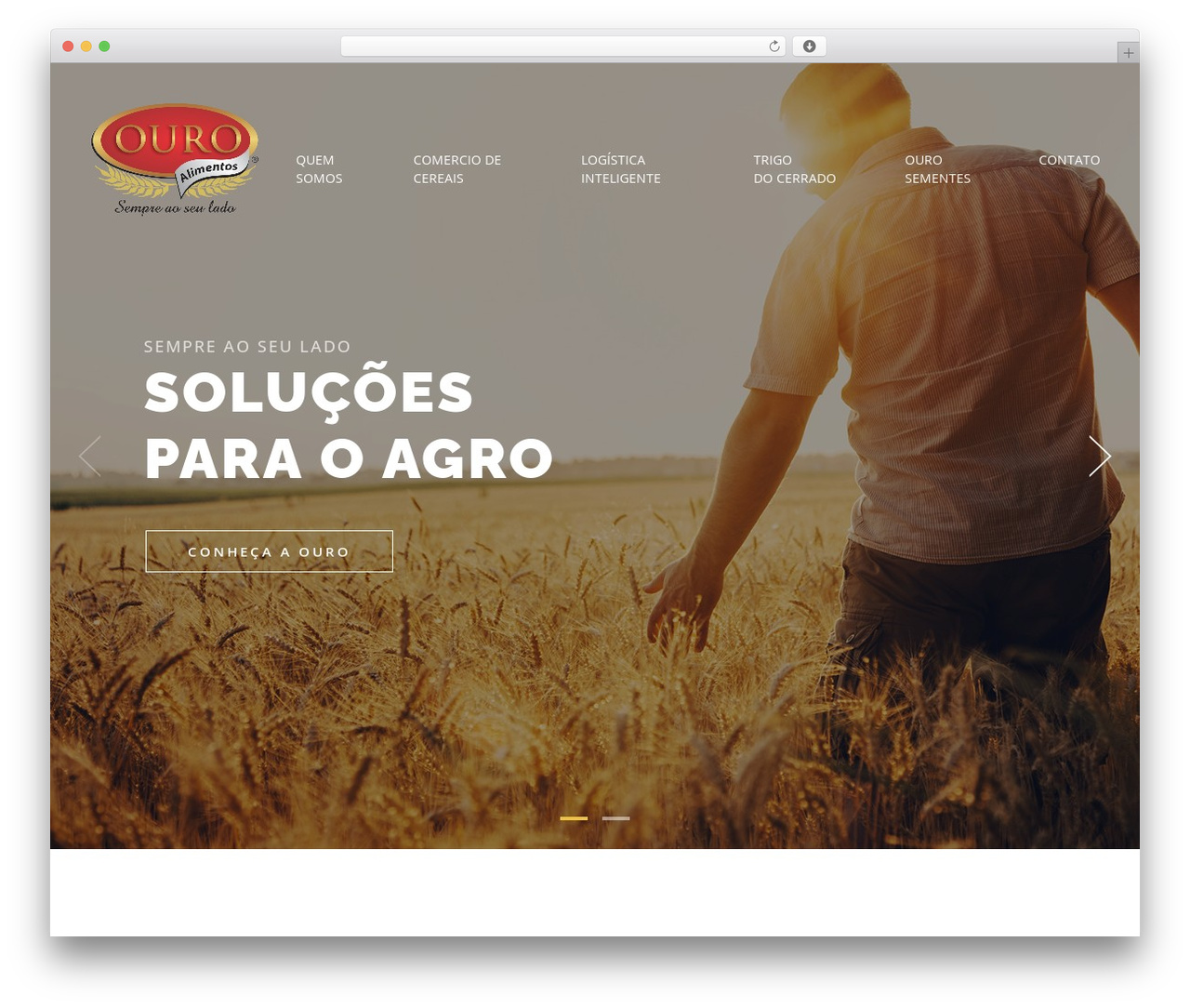WordPress theme Agroly - ouroalimentos.com WordPress theme Agroly - ouroalimentos.com