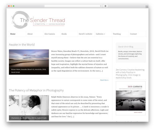 Recent & Featured Posts Widget (recent-featured-posts-widget) free WordPress plugin - theslenderthread.org