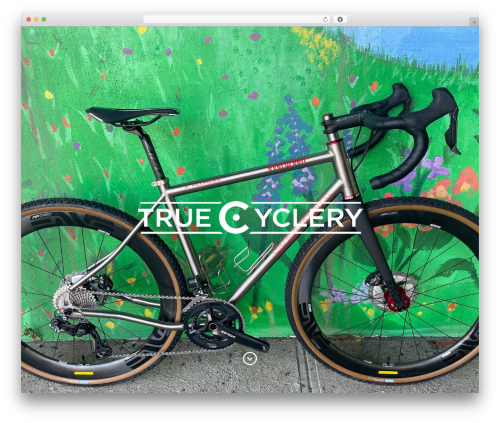 WordPress website theme Baylie - truecyclery.com