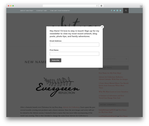 Social Slider Feed (instagram-slider-widget) free WordPress plugin - whitneyfindinghome.com