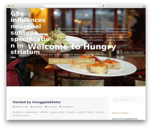 Hungry WordPress theme - g9ainhibition.com