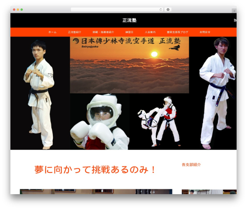 MAXX theme WordPress - seiryujyuku.com