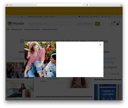 pinkmart WordPress page theme - micestita.com