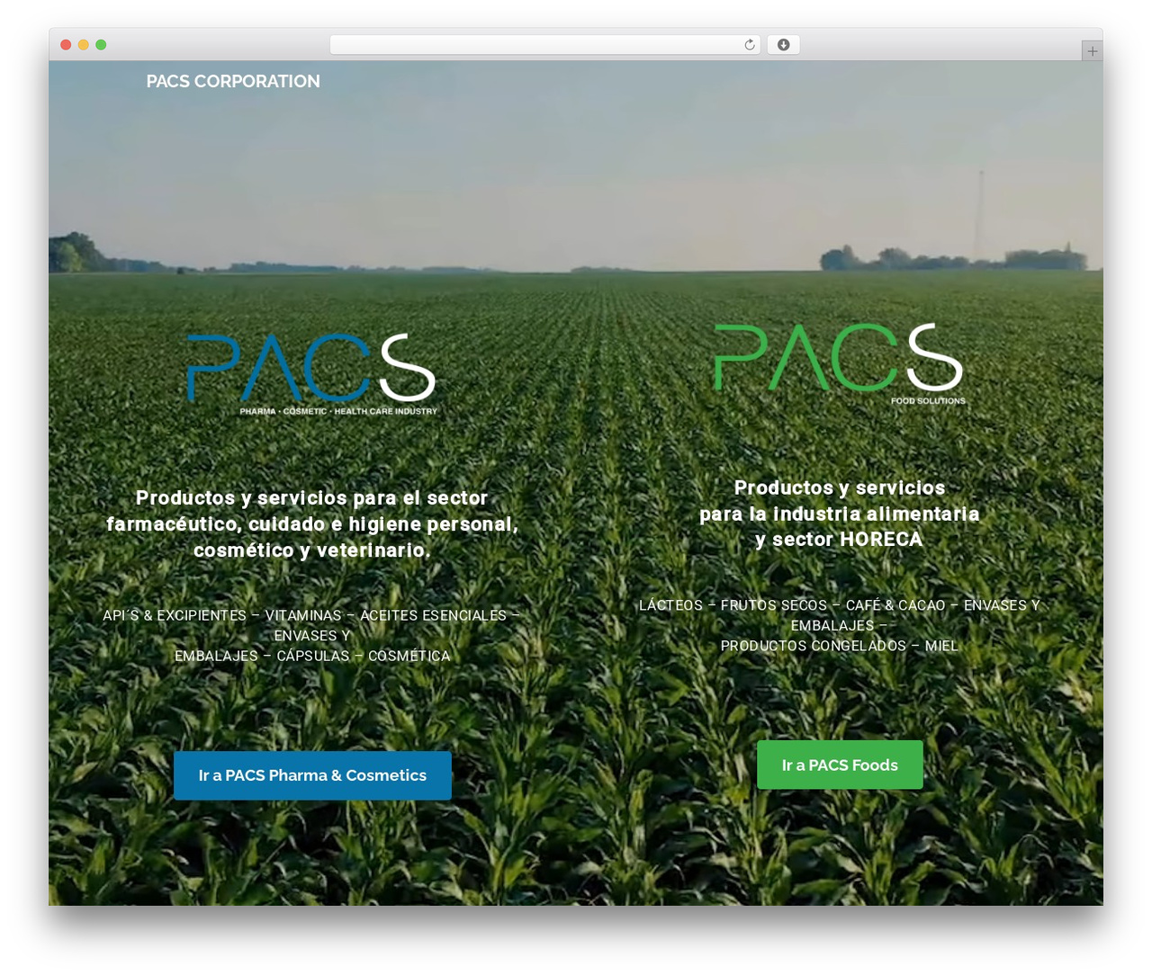 Theme WordPress Sandy - pacscorporation.com