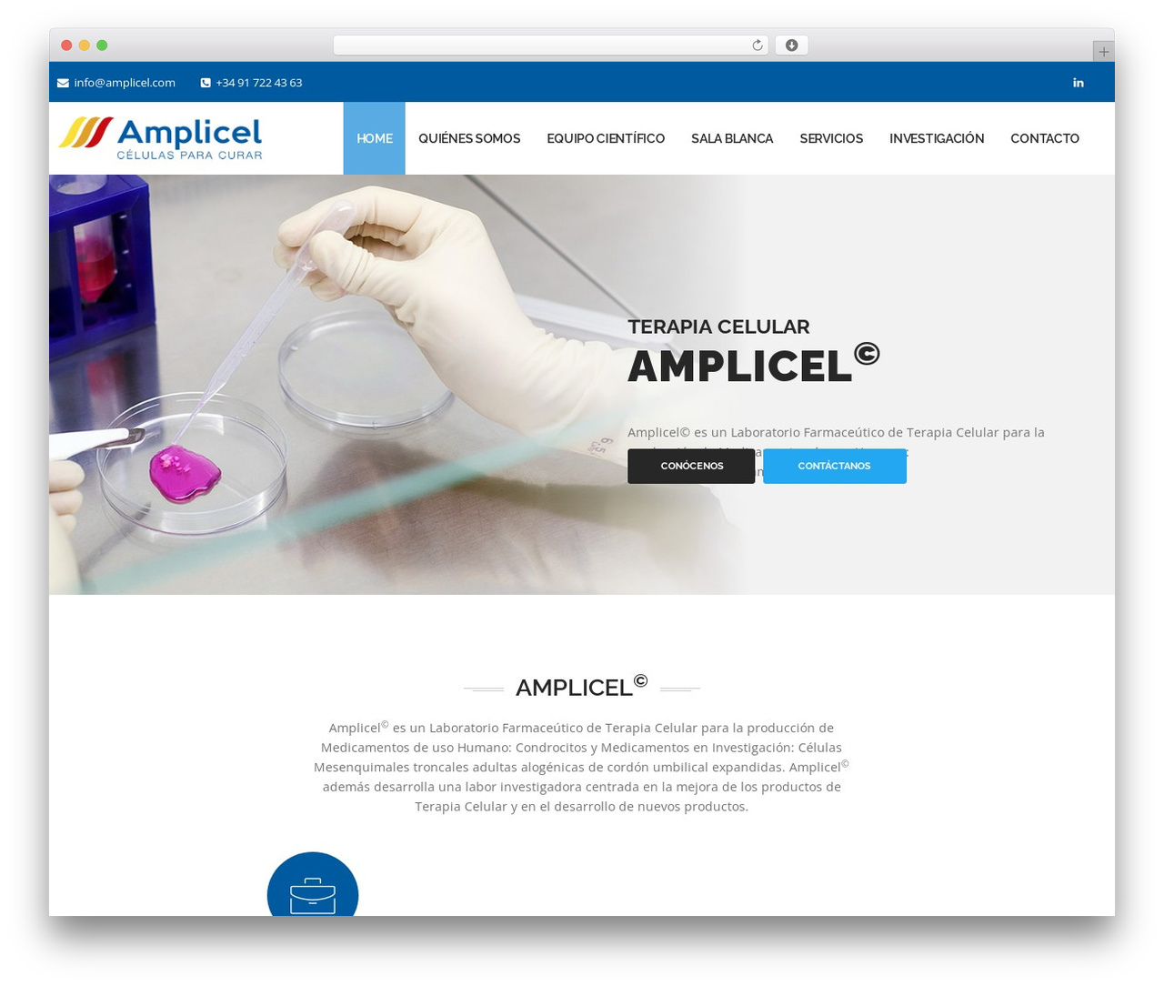 Best WordPress theme HighStand - amplicel.com Best WordPress theme HighStand - amplicel.com
