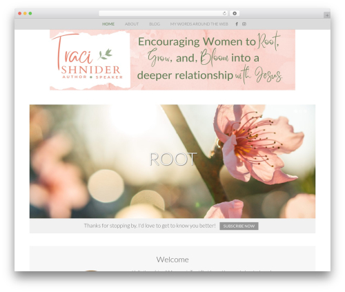 Birch WordPress theme design - tracishnider.com