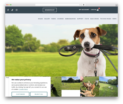 Fooevents_bookings WordPress plugin - walkiedogs.com