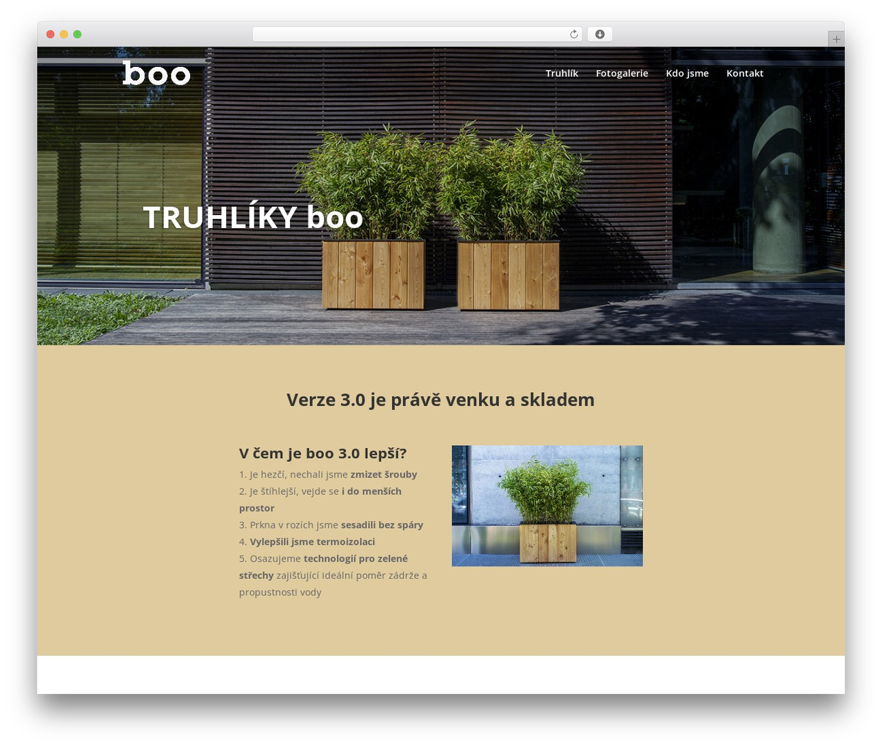 Theme WordPress Divi - boo.cz