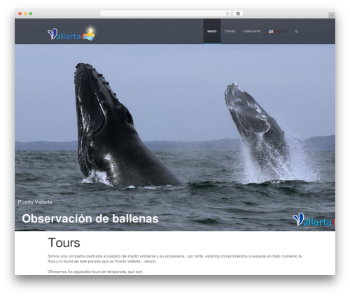 Theme WordPress Supernova - Multi-Purpose Theme - vallartalike.com