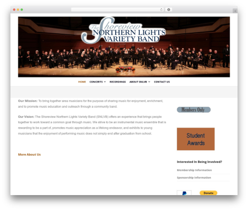 WordPress website theme Create - snlvb.com