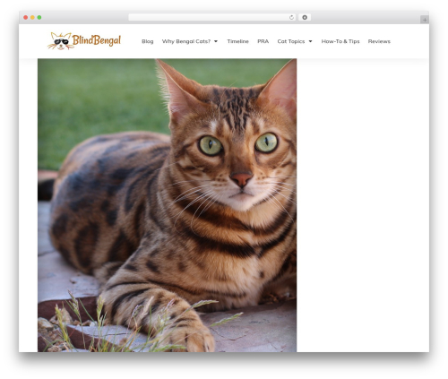 BlogVault WordPress Backup Plugin – Migration, Staging, and Backups (blogvault-real-time-backup) free WordPress plugin - blindbengal.com BlogVault WordPress Backup Plugin – Migration, Staging, and Backups (blogvault-real-time-backup) free WordPress plugin - blindbengal.com