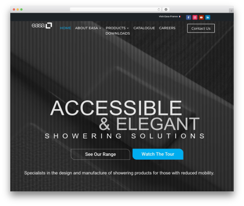 WordPress theme Divi - easagroup.co.uk