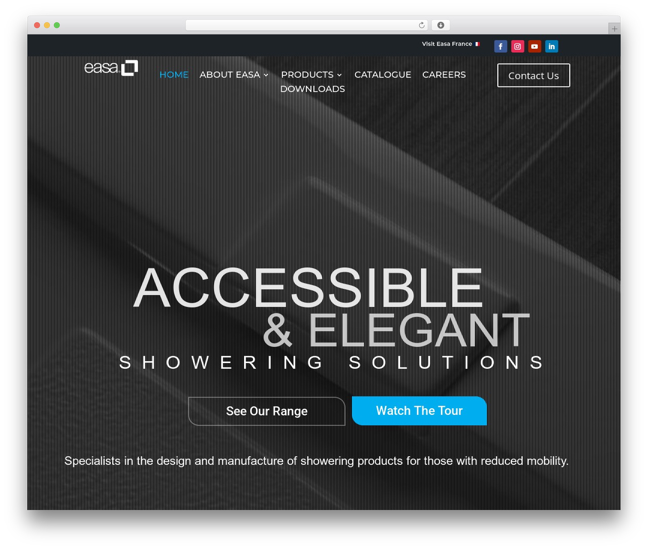 WordPress theme Divi - easagroup.co.uk
