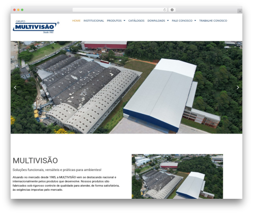 Thinkrank WordPress plugin - multivisao.com.br