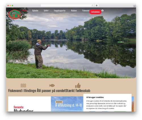 Wp grid builder elementor WordPress plugin - ulk1966.dk