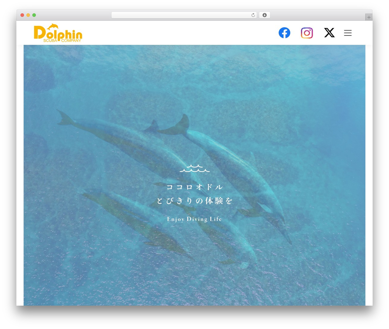 スキューバカンパニードルフィン WordPress theme - dolphin-scuba.com スキューバカンパニードルフィン WordPress theme - dolphin-scuba.com